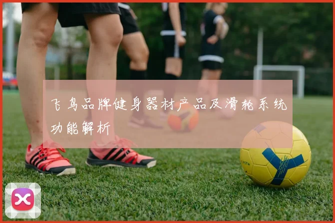 飞鸟品牌健身器材产品及滑轮系统功能解析