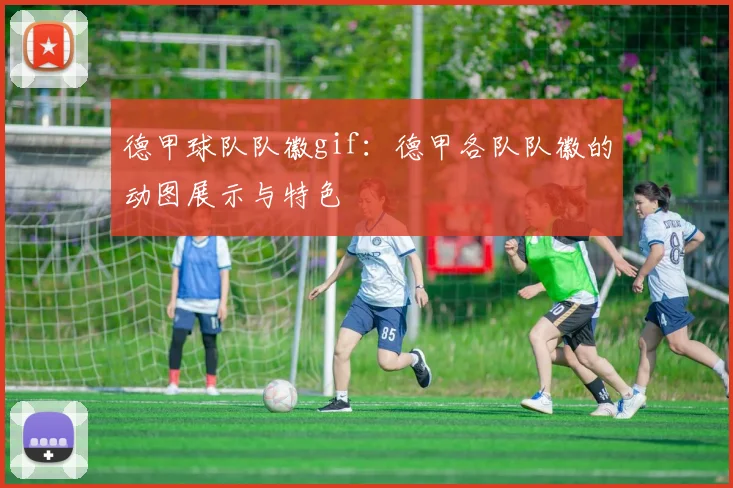 德甲球队队徽gif：德甲各队队徽的动图展示与特色