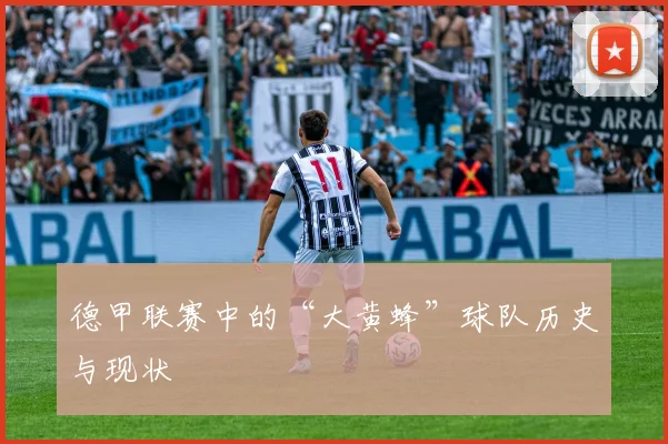 德甲联赛中的“大黄蜂”球队历史与现状